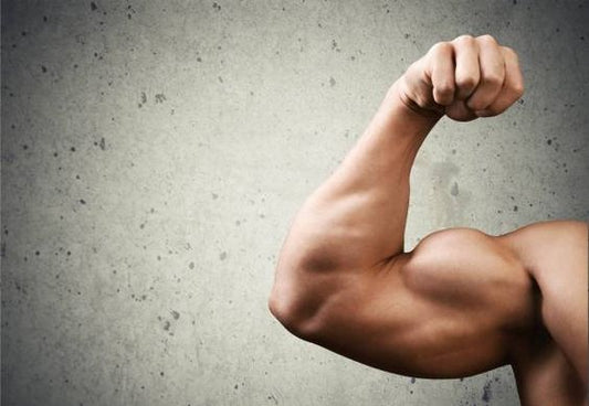 10 Effective Bodyweight Moves to Build Biceps