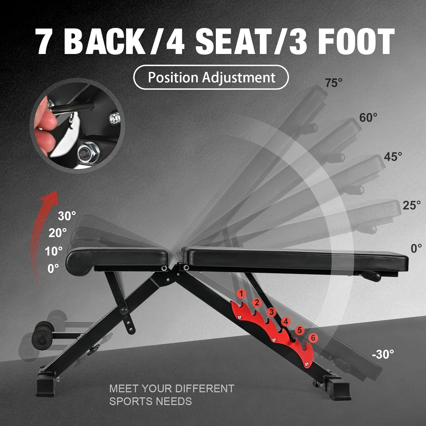 Titanium Portable Bench (800LB Capacity)